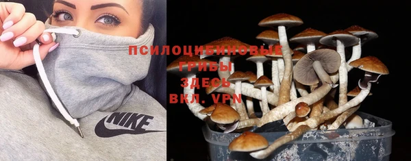 синтетический гашиш Абинск