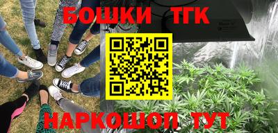 индика Татарск