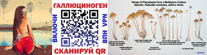 OMG ссылки  как найти   Рассказово  Галлюциногенные грибы Cubensis 