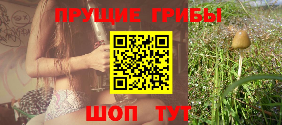 Псилоцибиновые грибы мицелий Рассказово