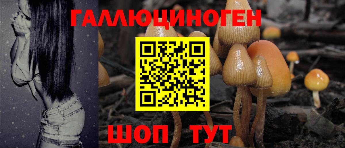 Псилоцибиновые грибы GOLDEN TEACHER  Вход с VPN  Рассказово  как найти   Галлюциногенные грибы MAGIC MUSHROOMS 